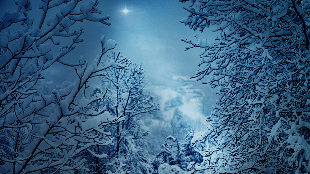 Too Little, Too Late: December Reading&nbsp;Wrap-Up