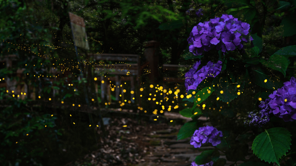 Ups and Downs: June Reading Wrap-Up